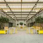 Thumbnail of http://img