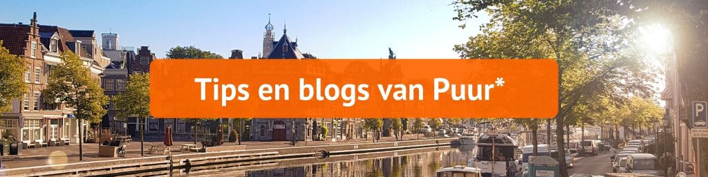 tips en blogs